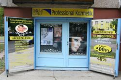 Professional Kozmetik