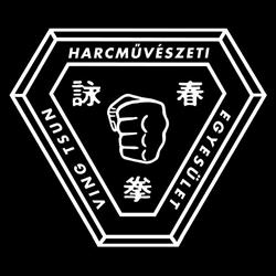 Modern Ving Tsun Kung fu