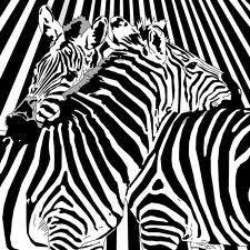 Zebra Stúdió Fodrászat