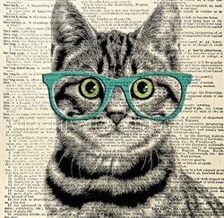 OptiCat Optika Zugló