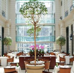 The Royal Flower Virág Lakásdekoráció Corinthia Budapest