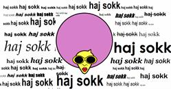 Haj-sokk