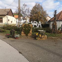 Ikszt Gomba