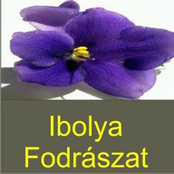 Ibolya Fodrászat