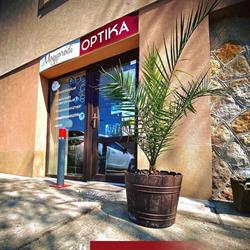 Mogyoródi Optika