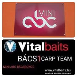 MINI ABC