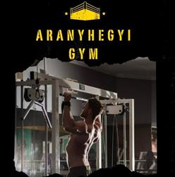 Aranyhegyi Gym