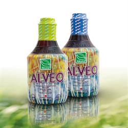 Alveo áruház