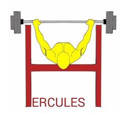 Hercules fitness és testépítő terem