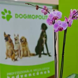 Dogmopolite Kutyakozmetika BUDA