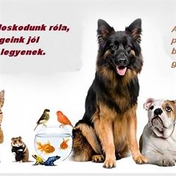 Kék Állatpatika és Állatorvosi Rendelő