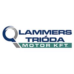Trióda Motor Kft
