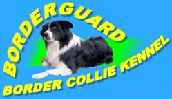 Borderguard Border Collie Kennel - Kőrösiné Benedek Dóra