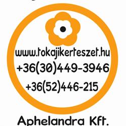 Tokaji Kertészet Debrecen