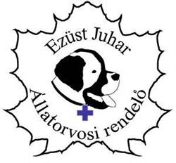 Ezüst Juhar Állatorvosi Rendelo