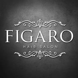 Figaro Hair Salon