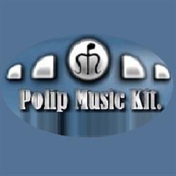 Polip Music Hangszerbolt Kisvárda