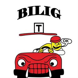 Bilig Autós Iskola