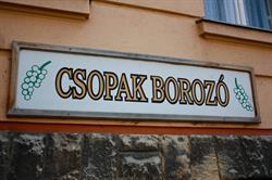 Csopak Borozó