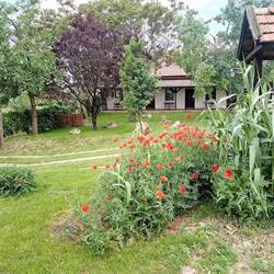 Kiad-Lak Apartman