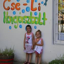 Cse-Li horgászbolt