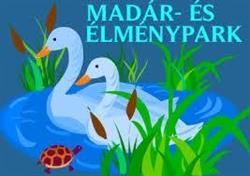 Zsippó Madár-És Élménypark