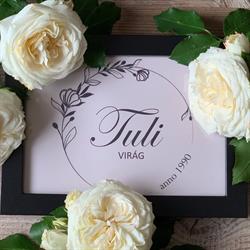 TULI VIRÁGÜZLET