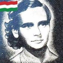 Borvirág Pince