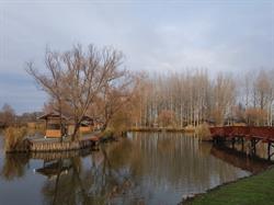 Péteri horgásztó és pihenőpark