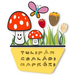 Tulipán Családi Napközi