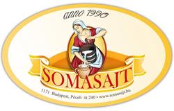 Somasajt