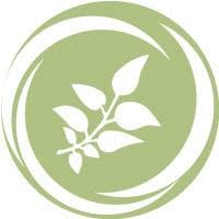 Myropolium Bio- és natúrkozmetikumok, Parfümök