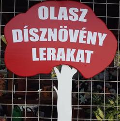 Olasz Dísznövény lerakat