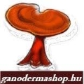 GANODERMASHOP GANODERMASHOP