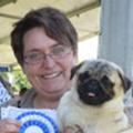 My Little Giant Pug - Nagy Anikó