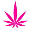 myHempStore