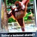 Vélemények