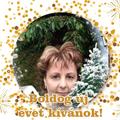 Vélemények