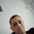 Vélemények