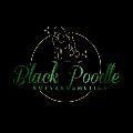 Black Poodle Kutyakozmetika